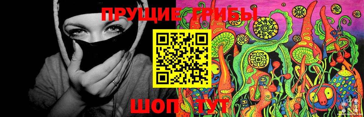 Тимашёвск  Галлюциногенные грибы мицелий  Псилоцибиновые грибы Psilocybe  Вход с VPN 